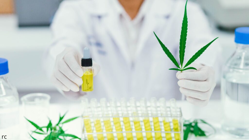 Consultoria em Cannabis Medicinal